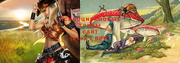 бошки Нефтекумск